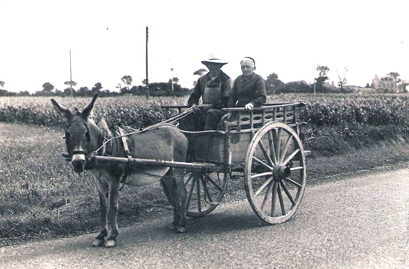 contadini_carro_asino