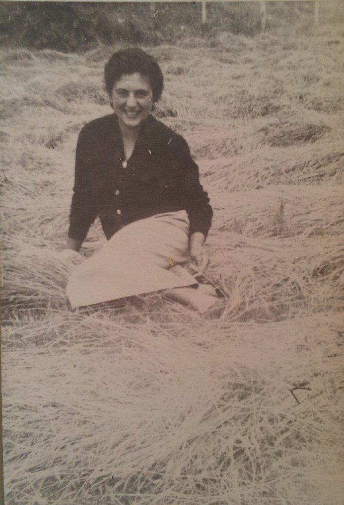 M.T. De Gregori, Scandriglia, 1957. Acquisizione digitale da stampa positiva alla gelatina ai sali d argento, 7 x 10,5 cm.