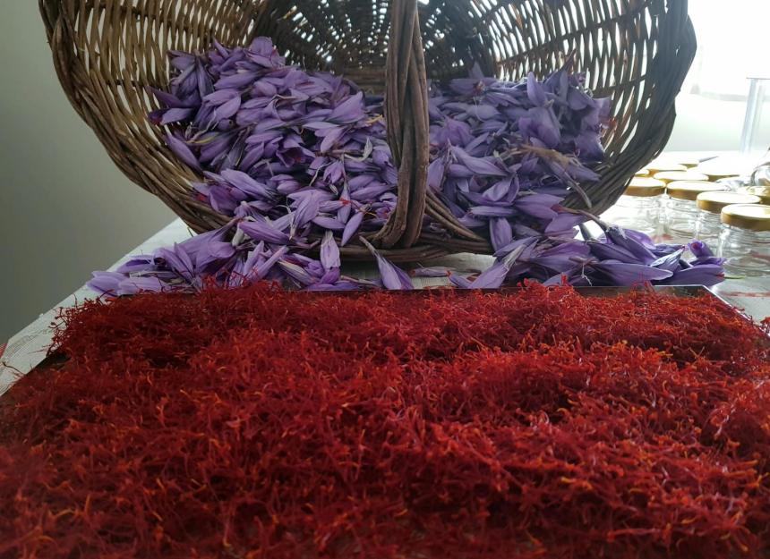 Archivio privato di Julia, Azzurra e Fiamma Antonucci Antonucci, Fiori e zafferano.